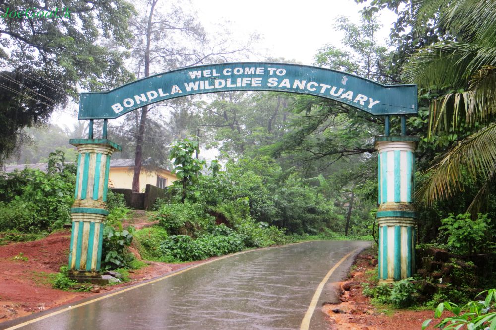 Bondla Wildlife SanctuaryZ